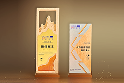 JN江南JN SPORTS国际一举斩获“2024年度中国区最佳雇主”等多项大奖